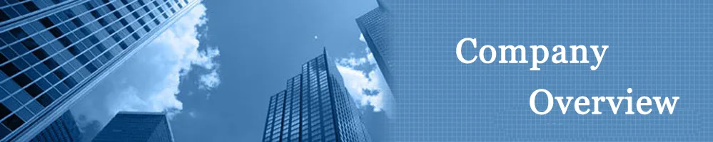 Max Up Hong Kong company overview
